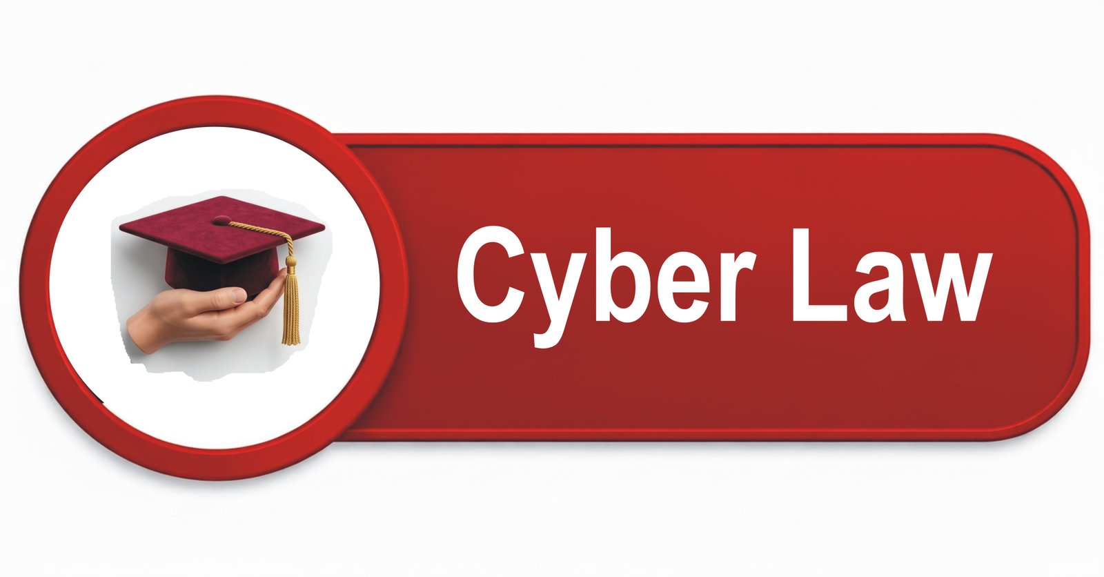 Cyber Law