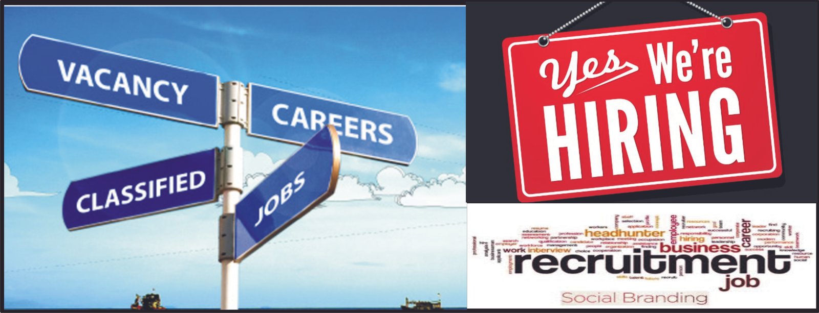VACANCY · CAREERS · HIRING — HCP Recruitment